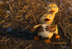 吃瓜爆料小黄鸭视频大全